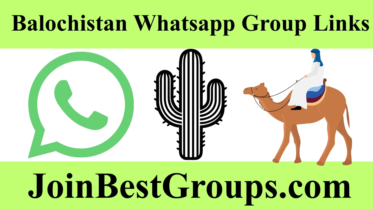 balochistan whatsapp group