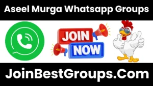 aseel murga whatsapp group